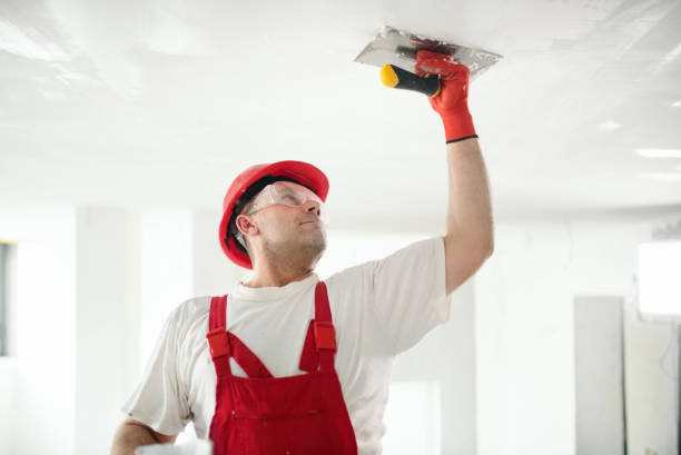 Professional Painting & Drywall Services in Green Valley, SD